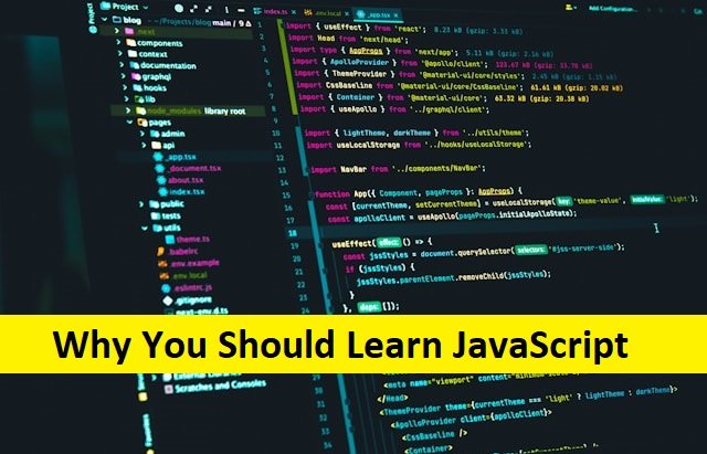 Why You Should Learn JavaScript